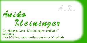 aniko kleininger business card